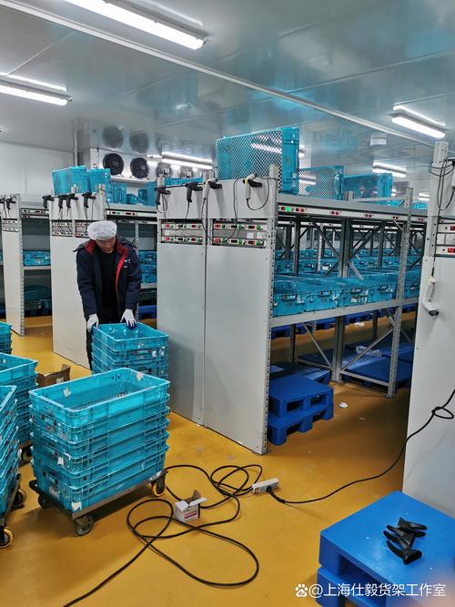 廊坊霖珑网络科技有限公司是干什么的