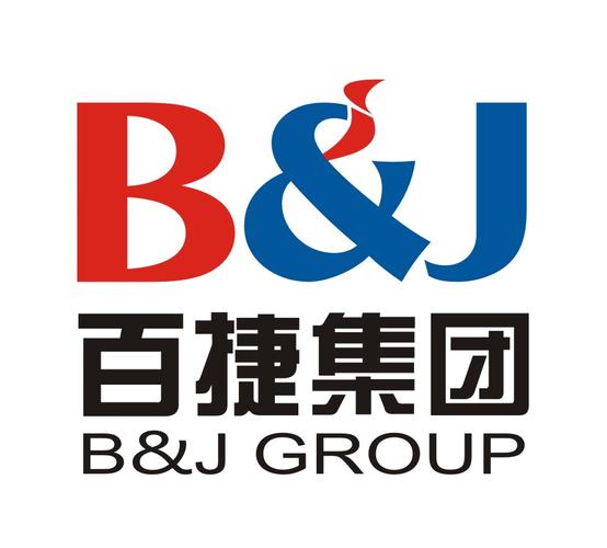 武汉百捷网络有限公司发展简史