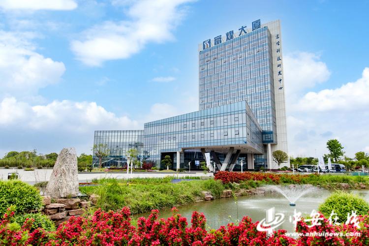 合肥市席城网络科技有限公司怎么样?