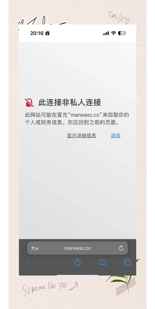什么是HTTPS证书?