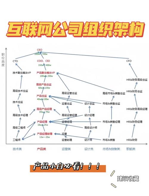 为某公司设计局域网方案,构建一个多网段的互联网络