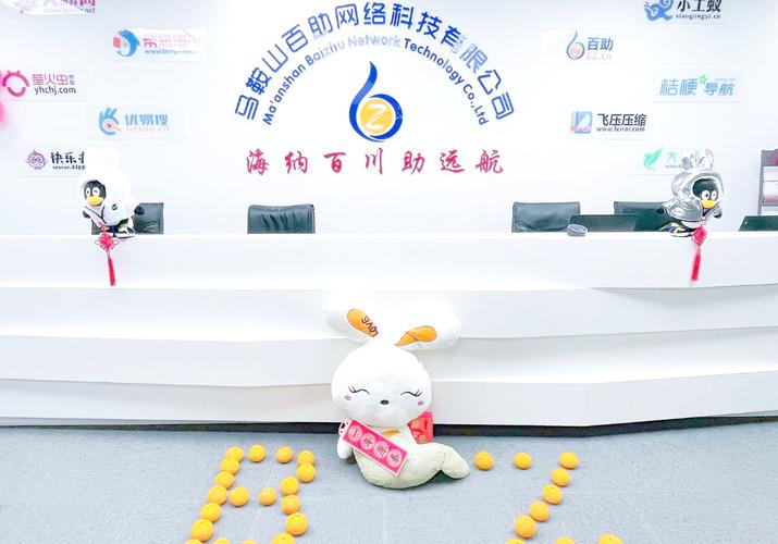 厦门百资网络科技有限公司业务发展
