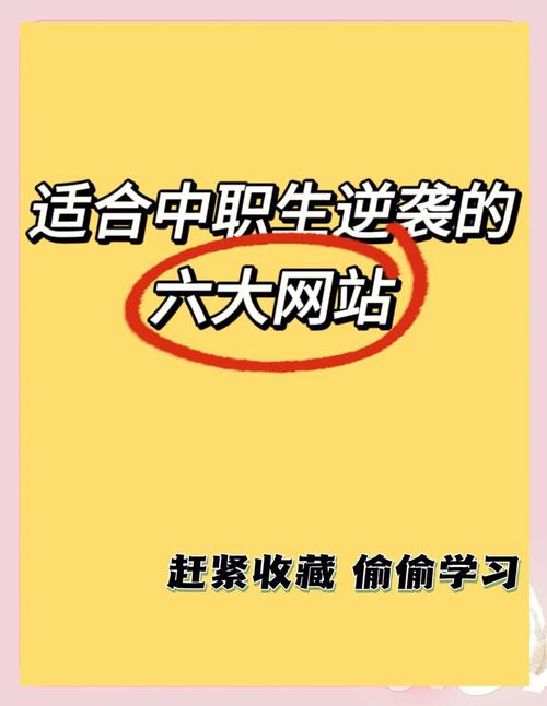 中职网站建设与管理专业主要学什么