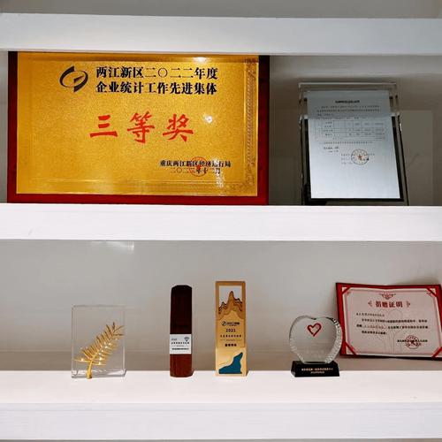 重庆重橙网络科技有限公司怎么样?