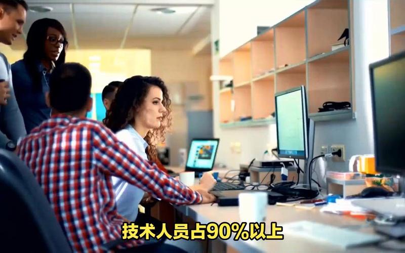 石家庄有哪些好软件公司