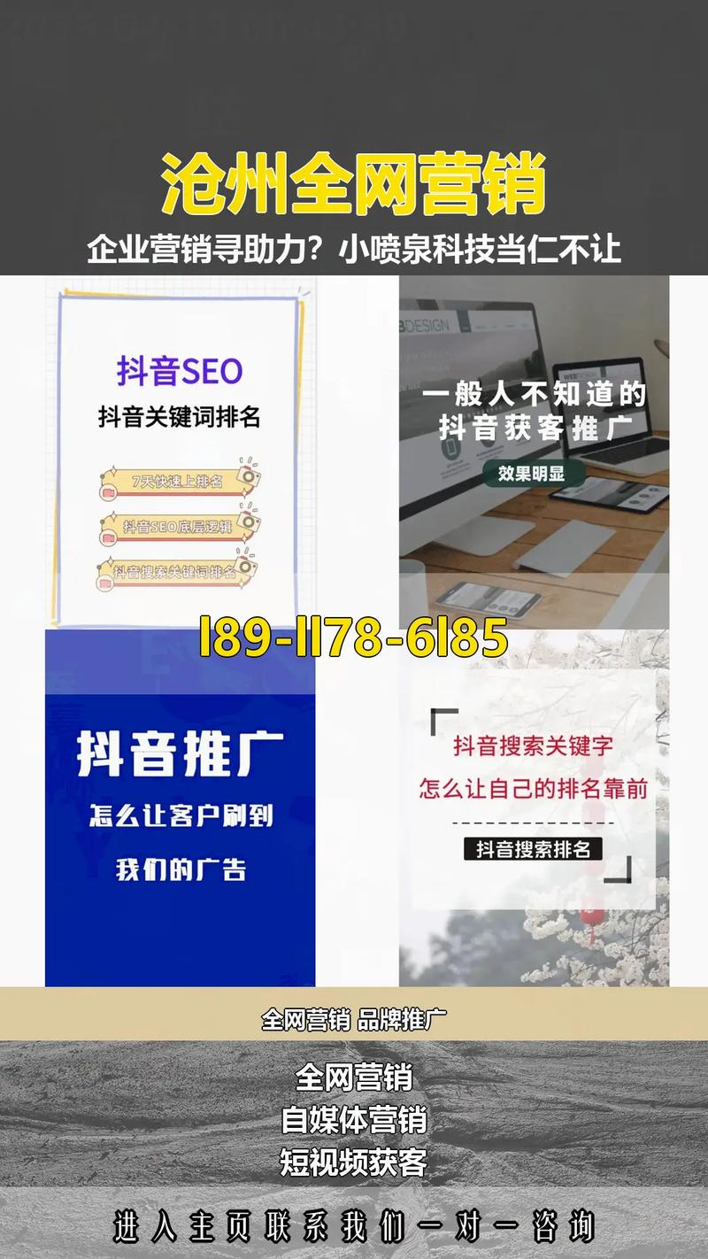 沧州网络推广哪家好