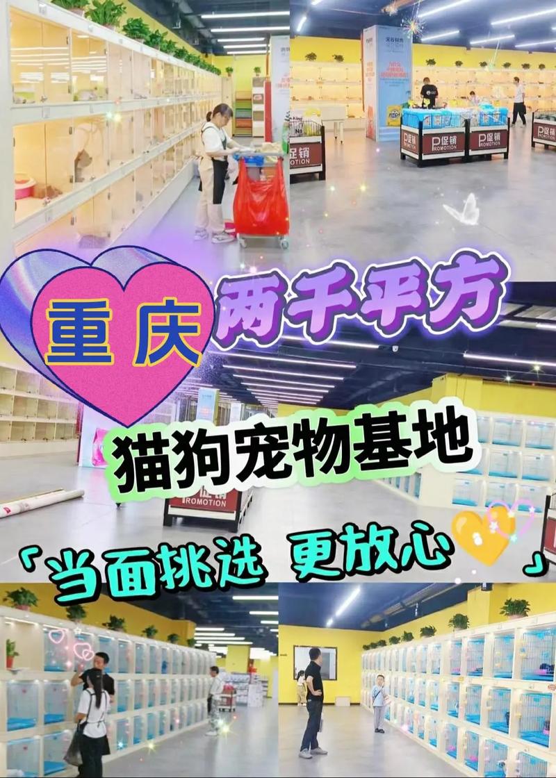 重庆网站建设费用费用是多少