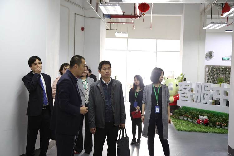 红树林公司简介