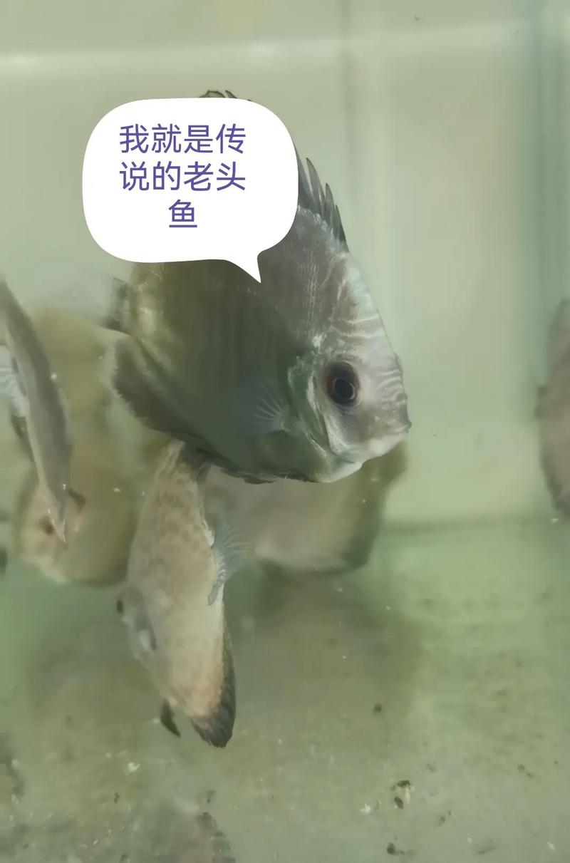 网站优化如何让网站在百度首页出现德州网站优化:网