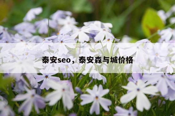 泰安市seo学习的方向,该从哪一步开始学习?威海市seo学习迷茫中!怎么办...