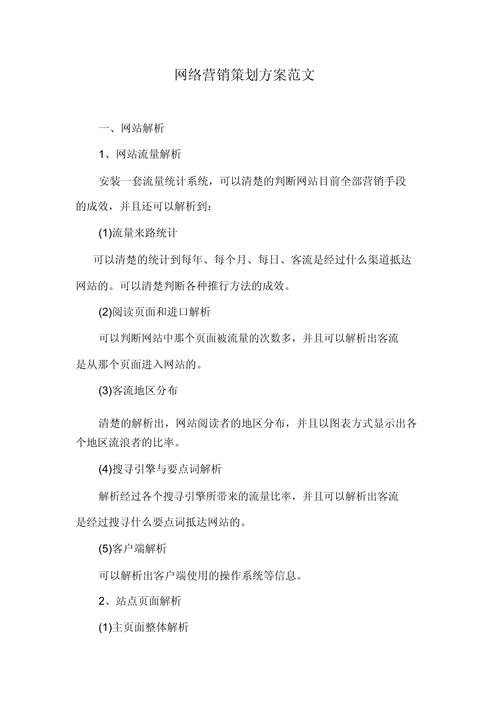 针对某一品牌的网络营销方案