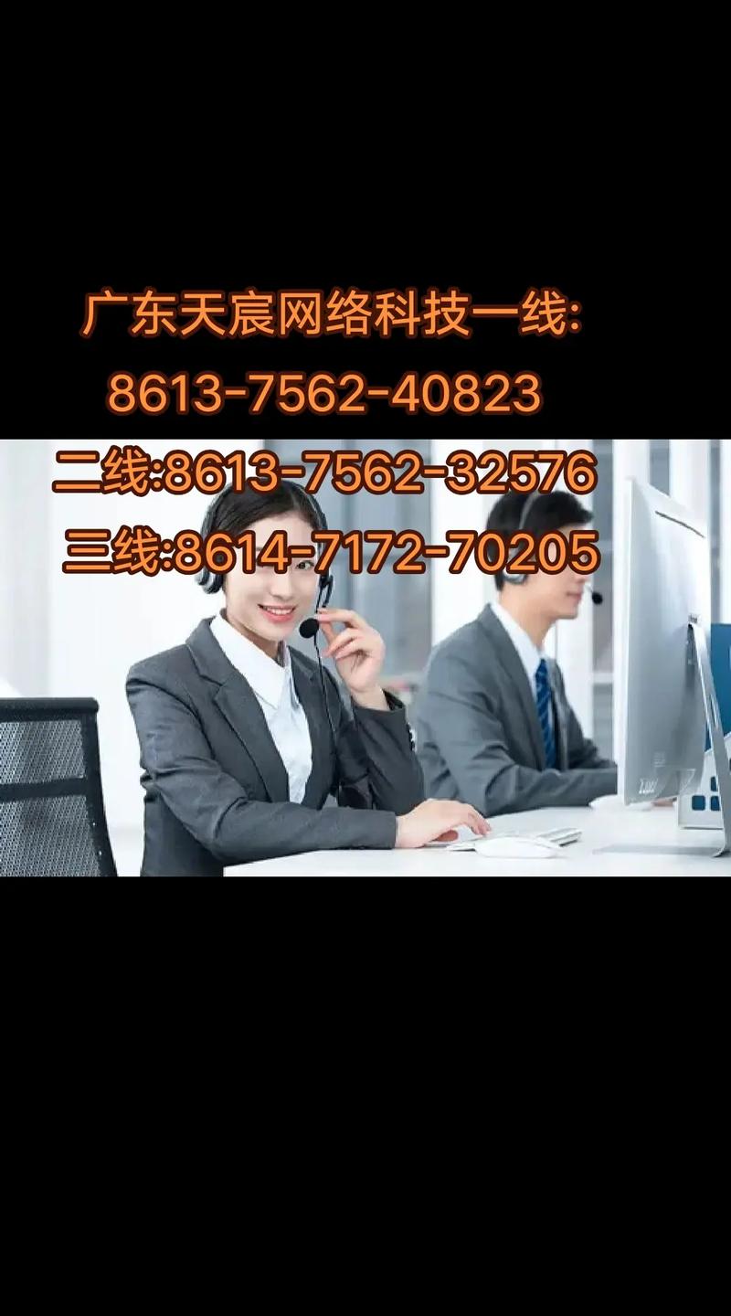 广东天宸是什么公司