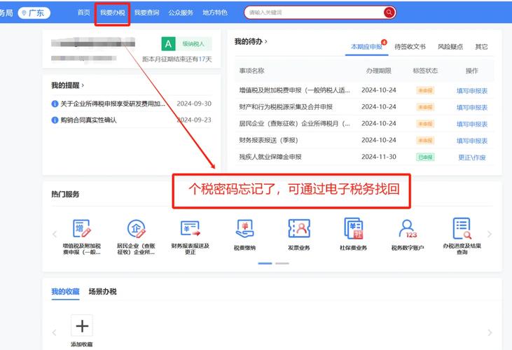 海南地税网上报税系统怎么上不去