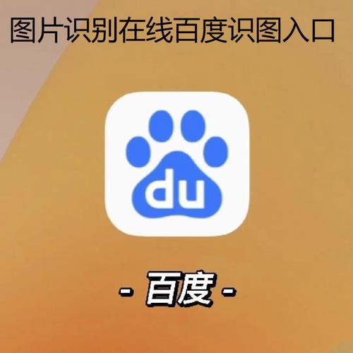 如何查看百度快照如何查看百度快照的东西
