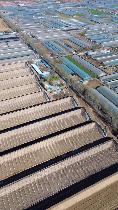 寿光市2025年高标农田建设项目