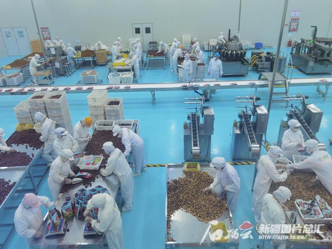 新疆品拓网络科技有限公司怎么样?
