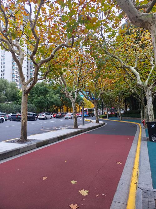 徐家汇基本简介