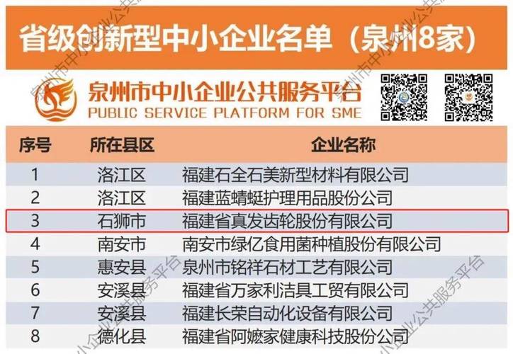 泉州市石狮做网站找哪家公司比较专业,有没推荐的网络公司