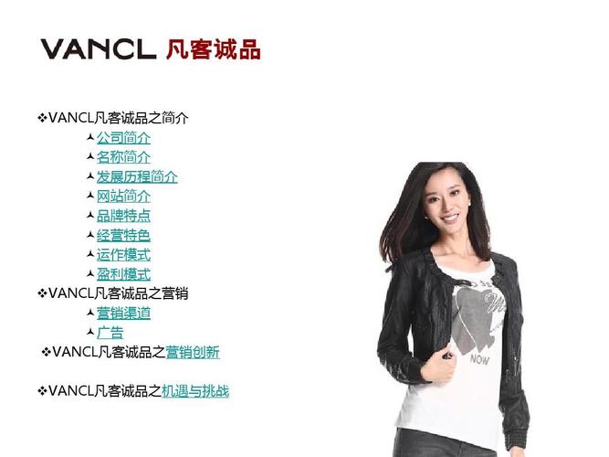 凡客诚品的发展史