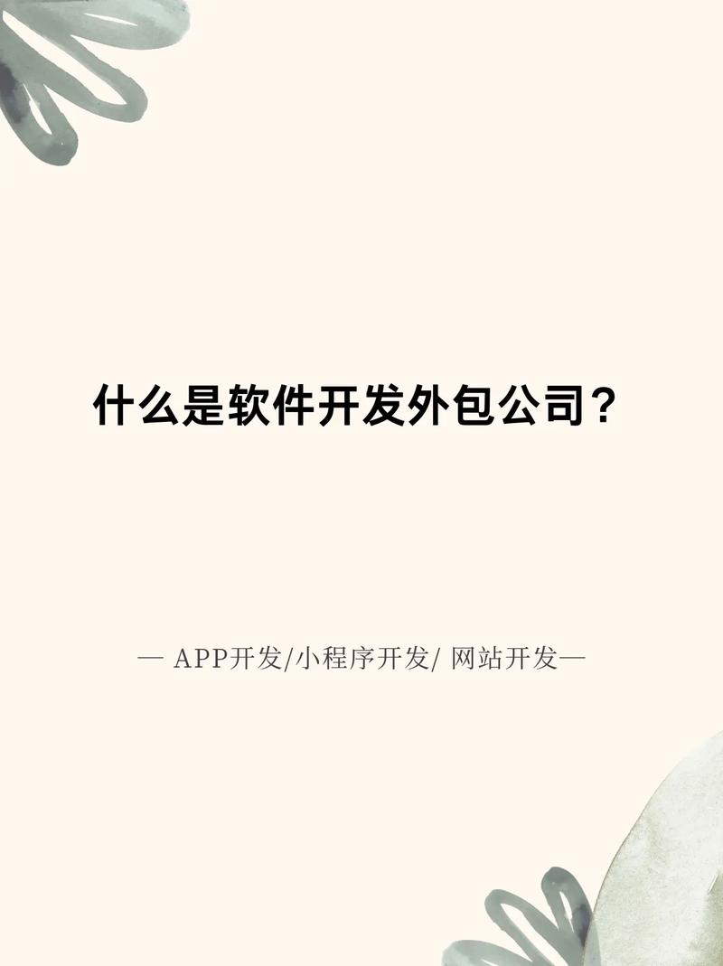 什么叫软件外包