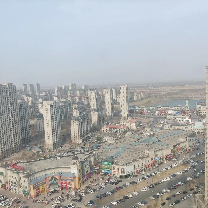 大庆电台四大帮办在行动里提到网上的论坛网址是多少?