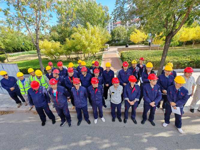 推荐几个在天津的网站排名优化公司,诺亚科技怎么样