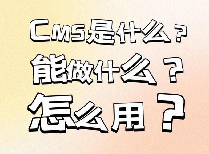 汽车cms是什么意思?