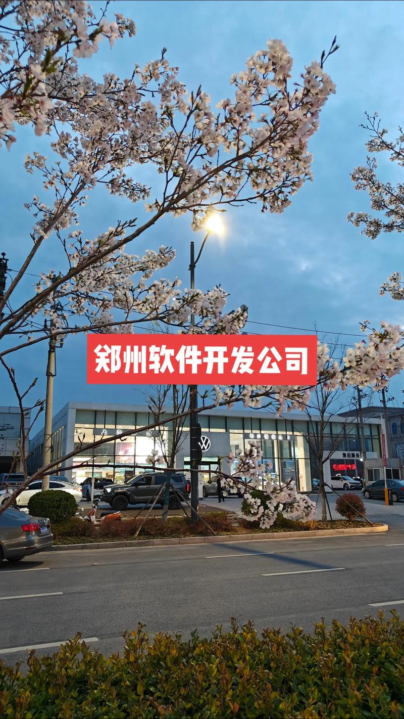 郑州有哪些做软件开发的公司?