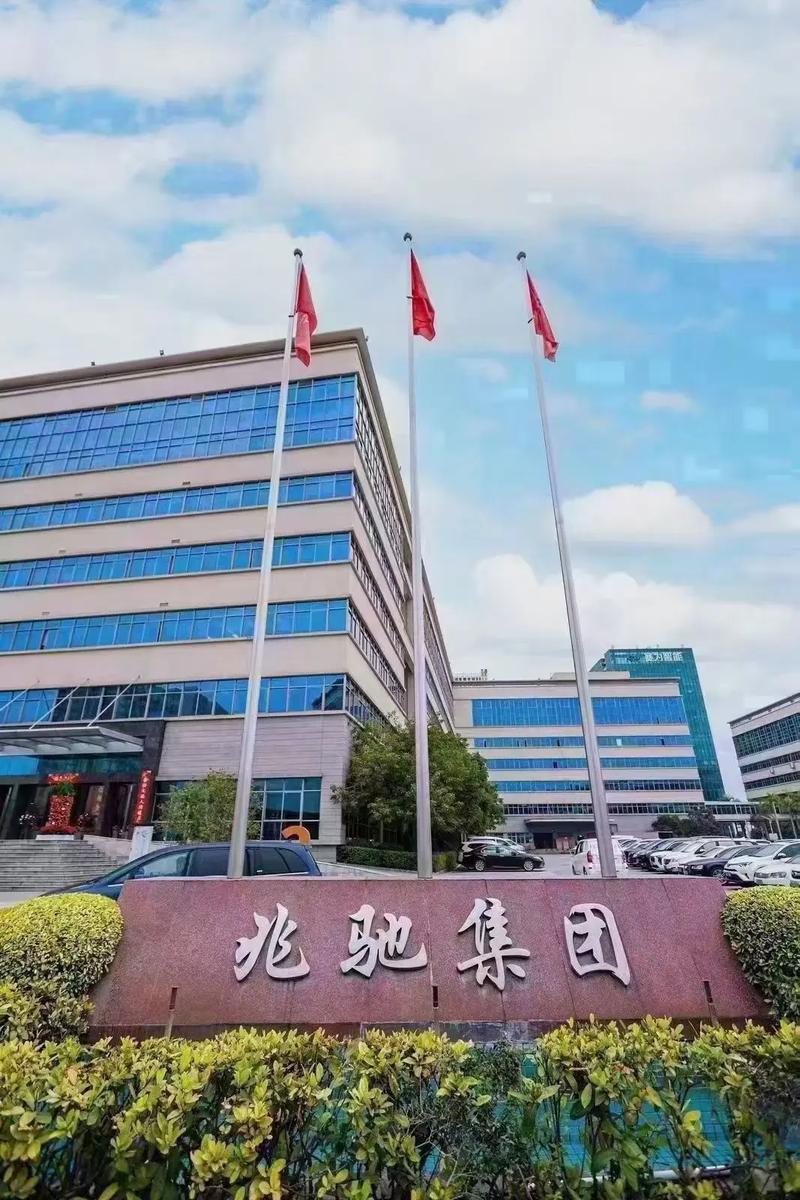 深圳龙岗有哪些大企业