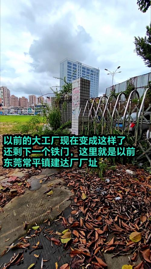 东莞市睿骏广告设计有限公司怎么样?