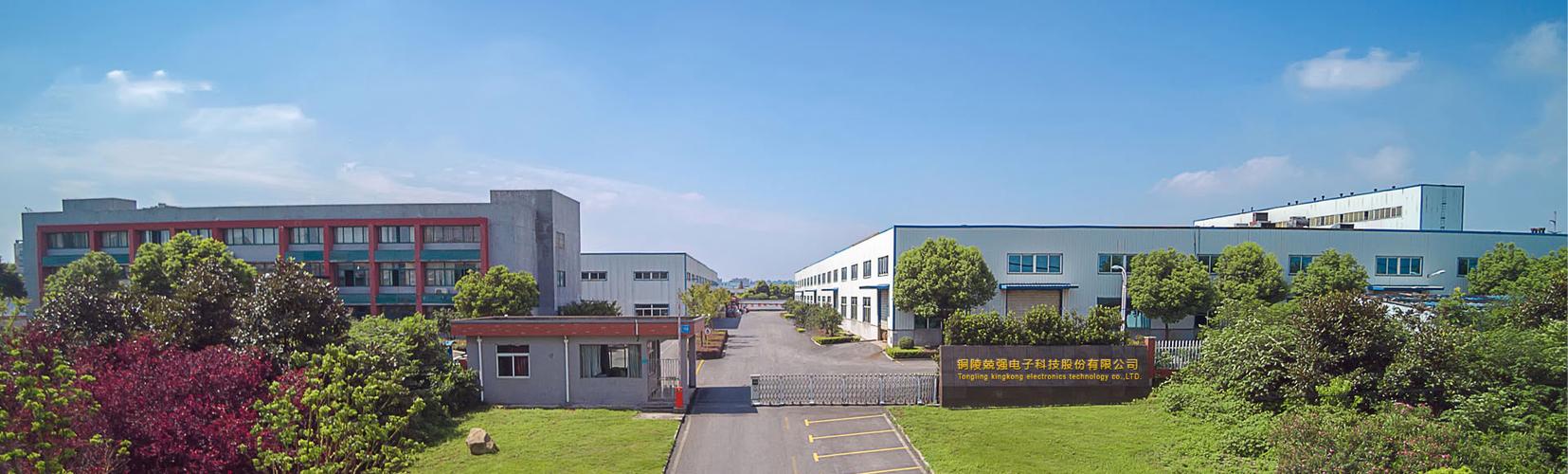 淮南市巍立电子科技有限公司怎么样?