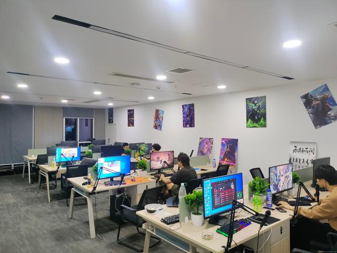 网络工作室能接什么活