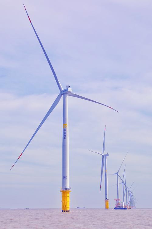 苍南电力局重点项目有哪些