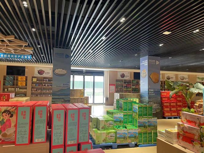 我的电脑是win8.1系统的,插入网线后显示红叉,而且网络适配器里面有好...