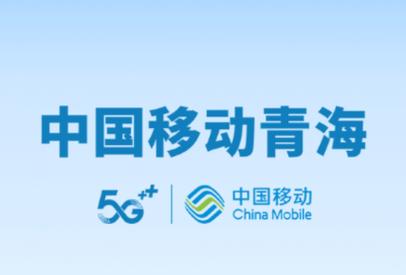 中国移动青海分公司公司网络