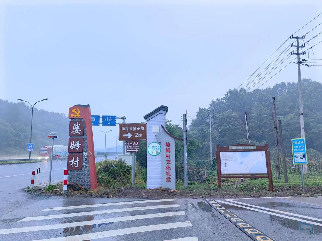 义乌市大陈镇桥南新村地址