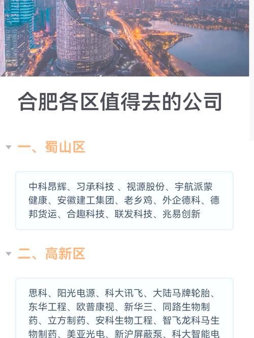 合肥专业做优化的公司是哪家呢?
