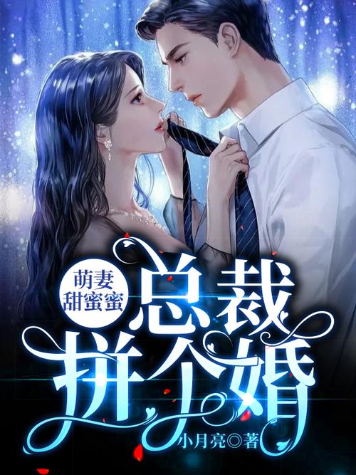 拼出来的幸福小说txt全集免费下载