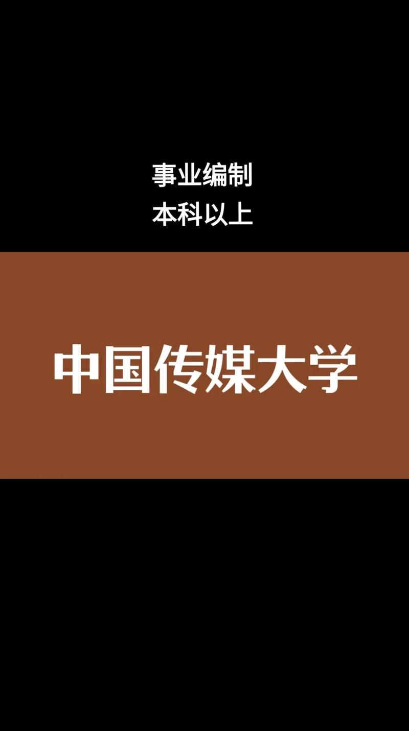 中传集团是央企吗