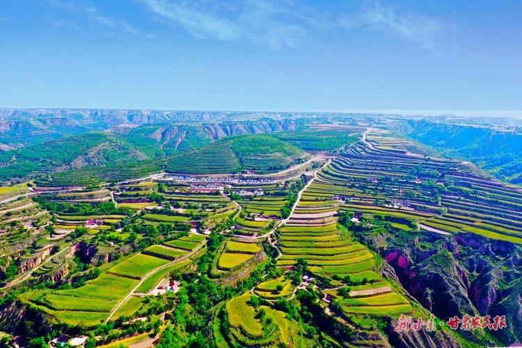 甘肃庆阳教育水平如何