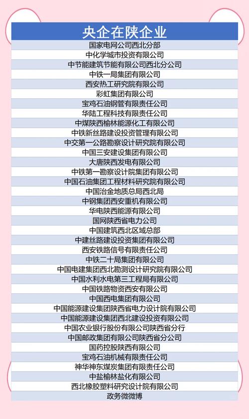 新疆伟恒星软件开发有限公司怎么样?