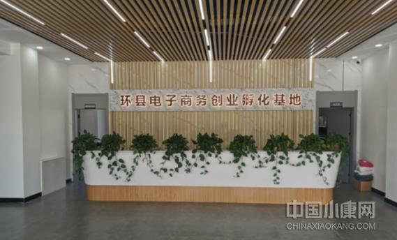环县欣欣电子商务有限公司怎么样?