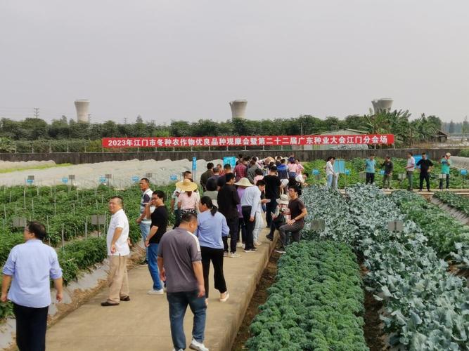 江门市农科所简介