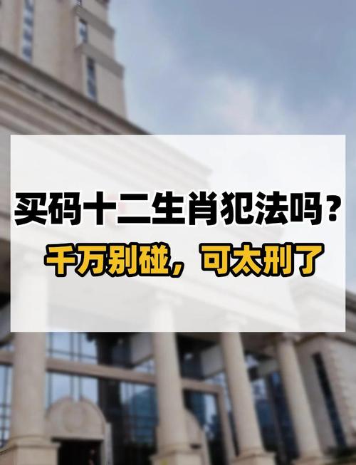 十二码app是否骗局