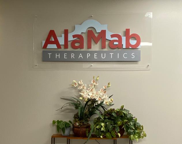 六安阿拉丁网络传媒有限公司怎么样?