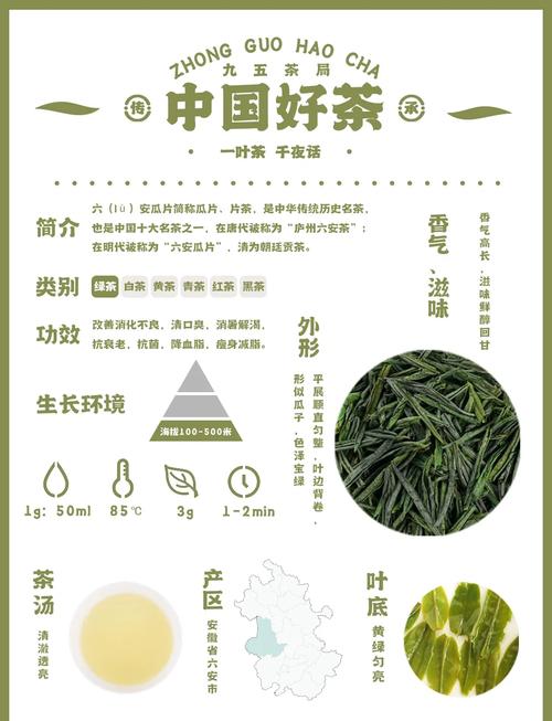 六安市住建局新成立的单位