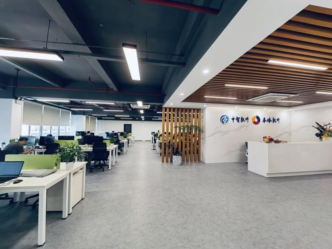 广州市中智软件开发有限公司惠州分公司怎么样?