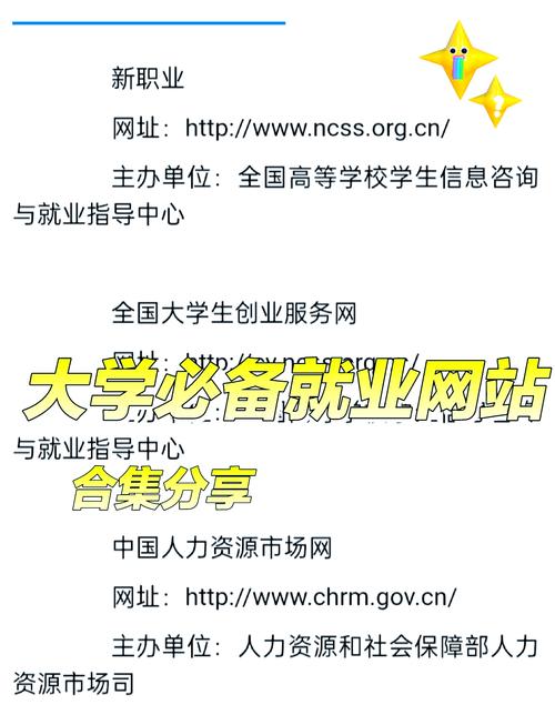 网站建设在大学和大专分别是什么专业?