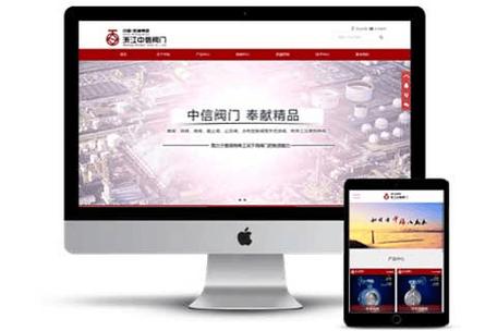 帮忙搞份好的校内网站规划书