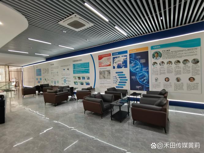 石家庄网络推广公司一搜太多了,哪家好点啊?